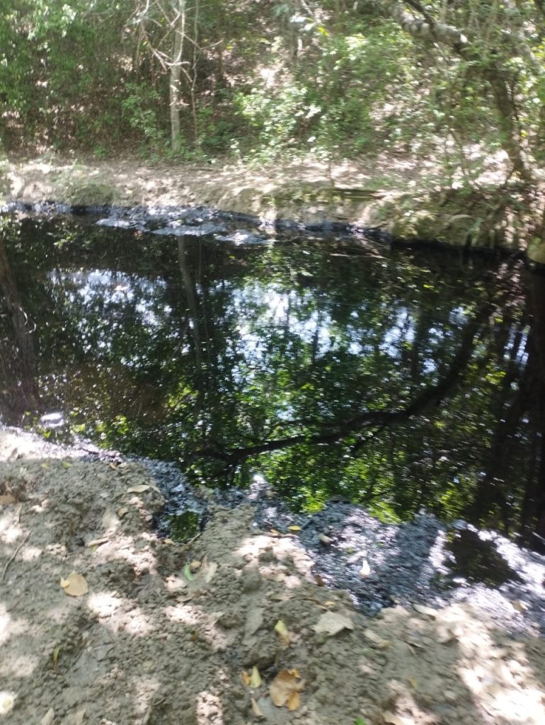 Solo devastación deja PEMEX