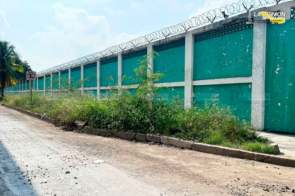 Calles como matorrales