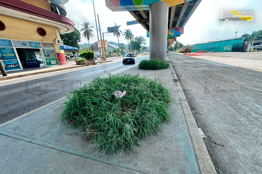 Calles como matorrales