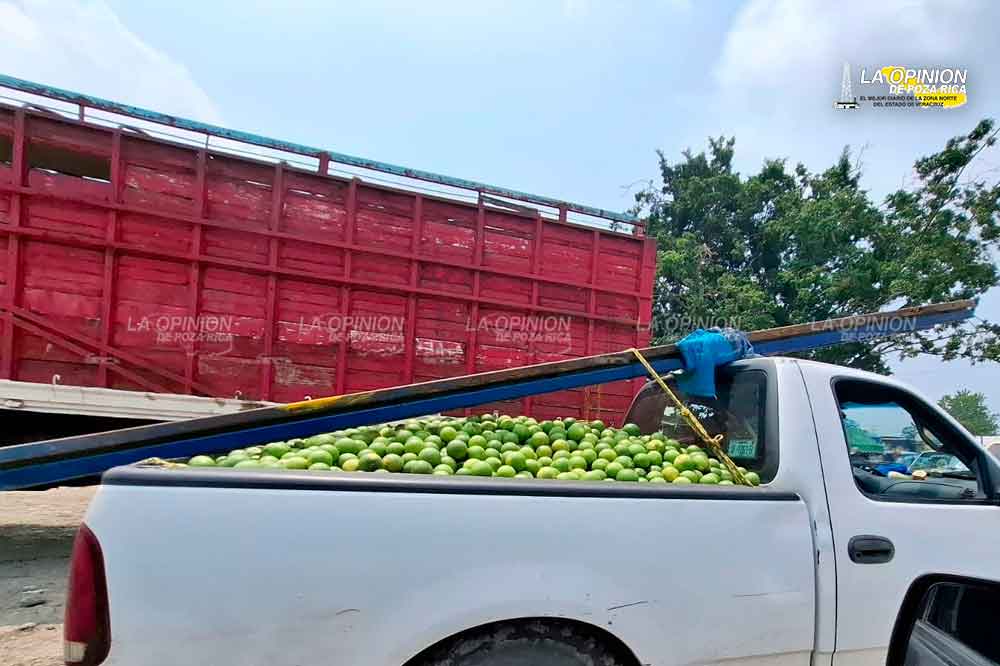 Se reactiva La Báscula