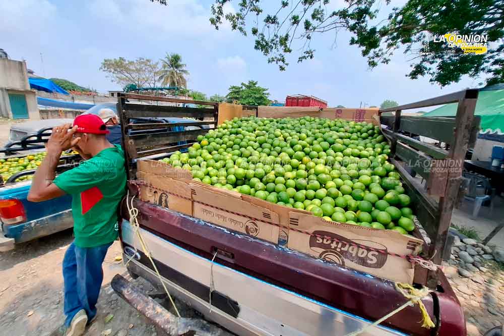 Se reactiva La Báscula