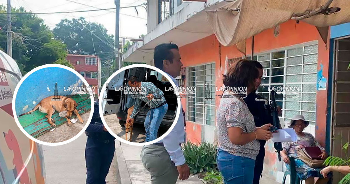 Rescatan a lomito amarrado bajo el sol y sin agua