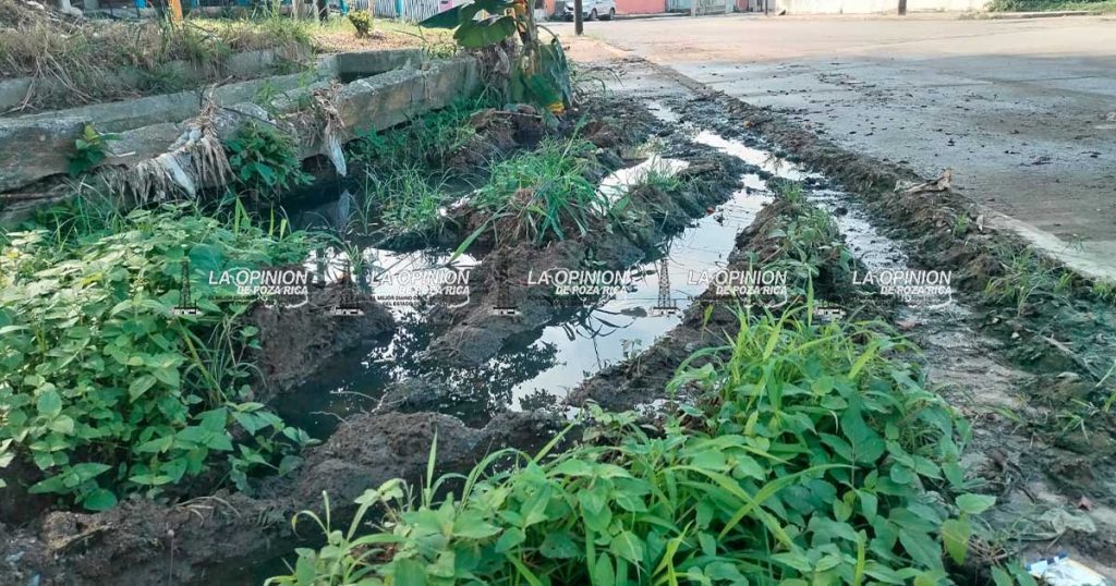 Resurgen escurrimientos de aguas negras en el Sector Campo V Resurgen escurrimientos de aguas negras en el Sector Campo V