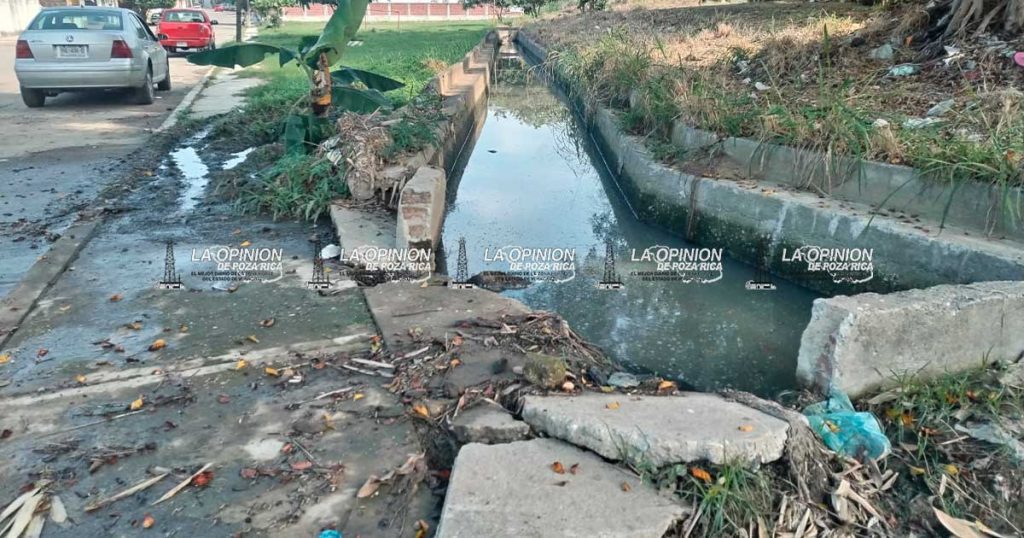 Resurgen escurrimientos de aguas negras en el Sector Campo V Resurgen escurrimientos de aguas negras en el Sector Campo V