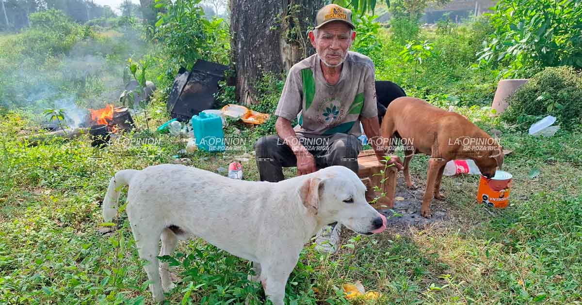Indigente alimenta a 20 perros y 33 gatos