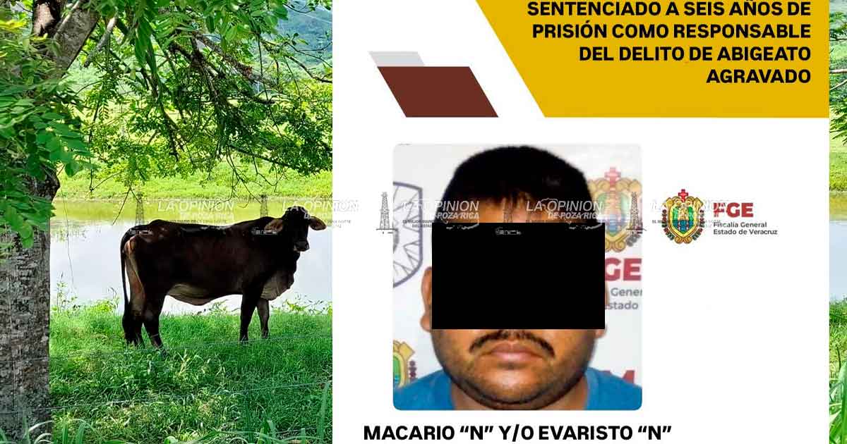 Sentenciado por robo de 165 reses