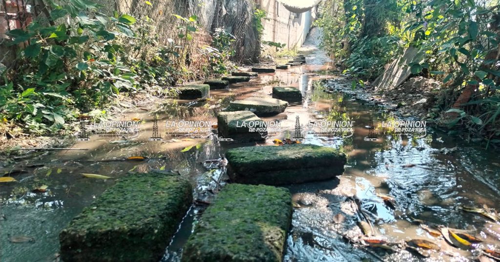 Viven entre pestilentes aguas de drenaje en Arroyo del Maíz