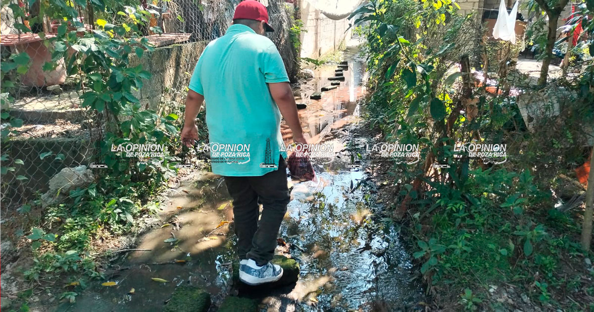 Viven entre pestilentes aguas de drenaje en Arroyo del Maíz