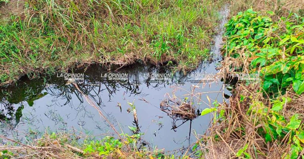 Nuevo derrame de hidrocarburo en Riva Palacio