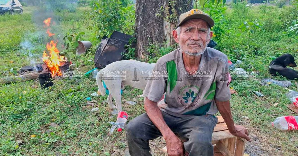 Indigente alimenta a 20 perros y 33 gatos