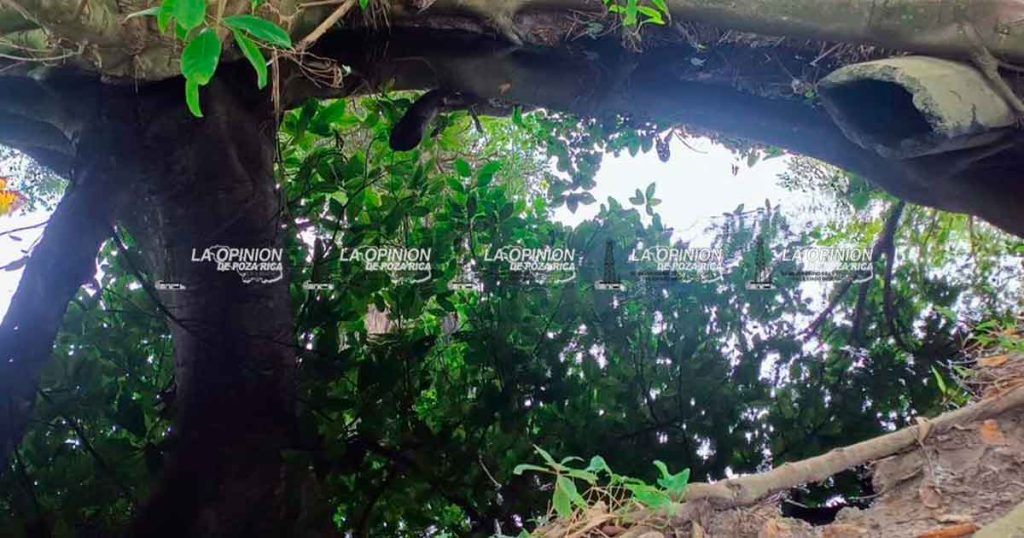 Nuevo derrame de hidrocarburo en Riva Palacio