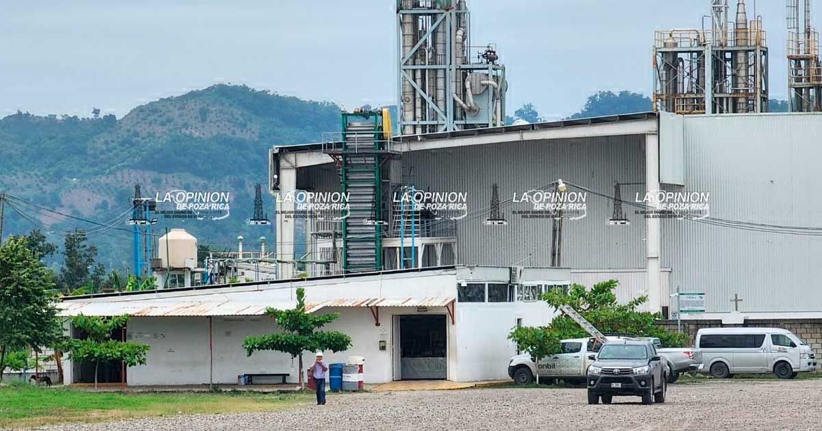 Temporada sin trabajo en la juguera del Totonacapan Temporada sin trabajo en la juguera del Totonacapan