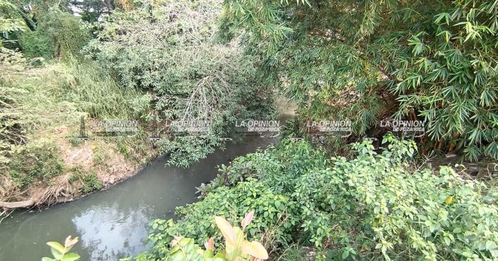 Iguanario resultó un proyecto inútil y puro dinero perdido