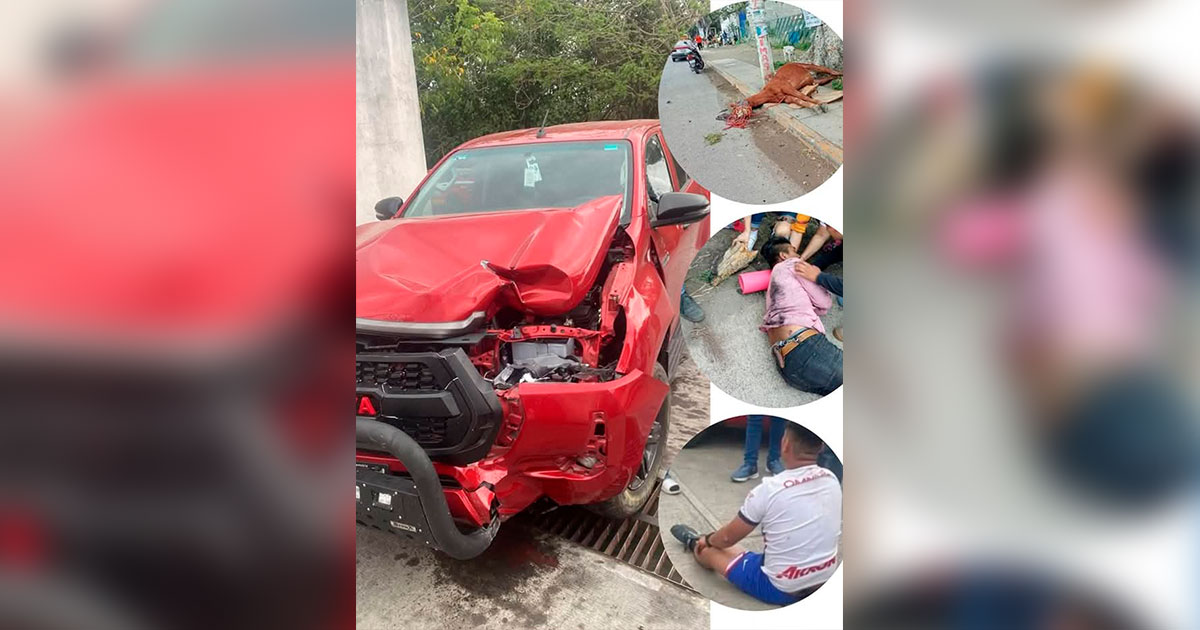 Conductor de camioneta atropella a yegua con jinete Conductor de camioneta atropella a yegua con jinete