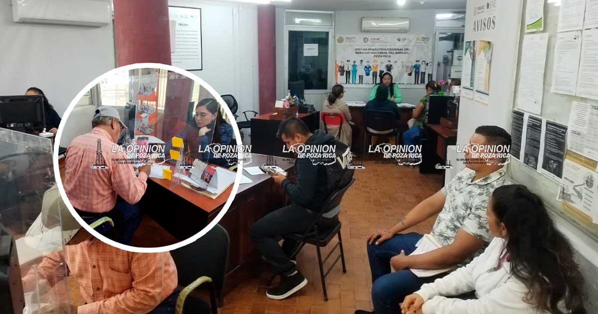 Ofrece Samsung 50 plazas para el estado de Querétaro Ofrece Samsung 50 plazas para el estado de Querétaro