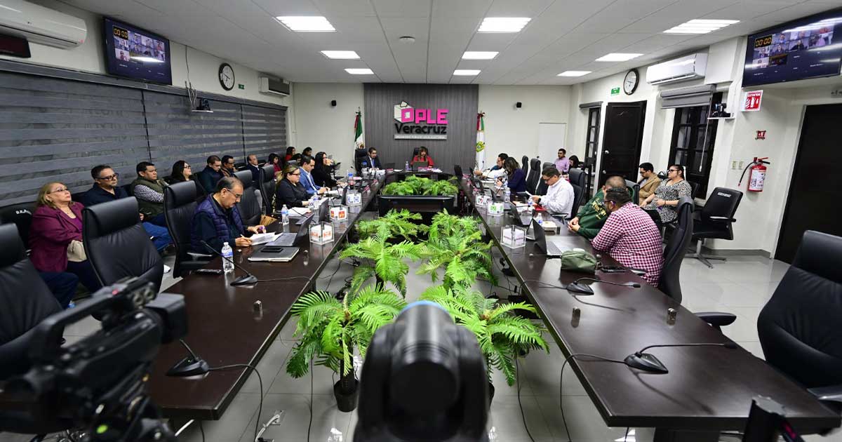 Designan al Consejo Municipal del OPLE