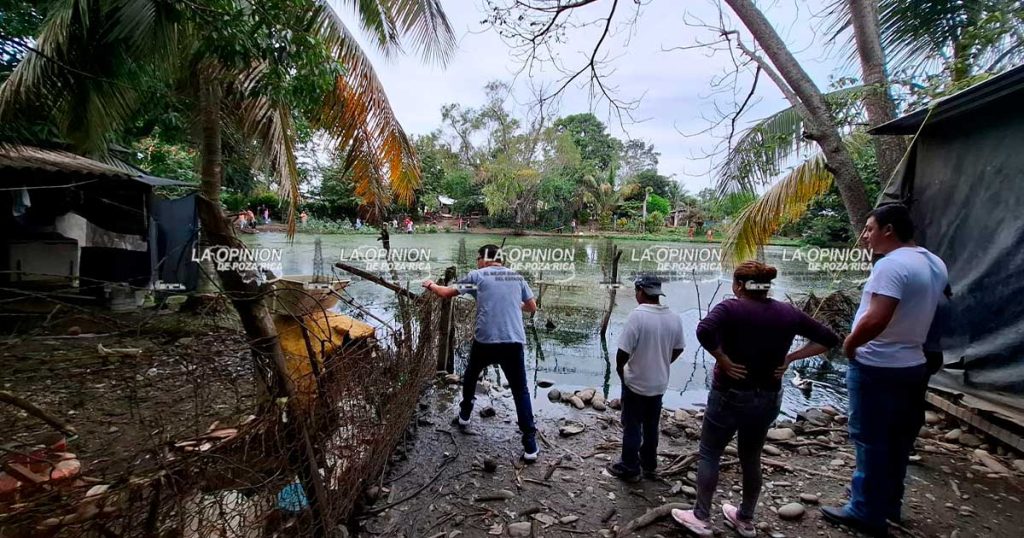 Mortandad de peces por falta de oxígeno