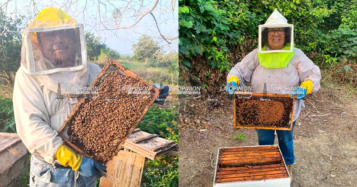 Apicultores de la Zona Norte temen al calor