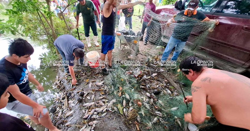 Mortandad de peces en laguna de Las Cañas