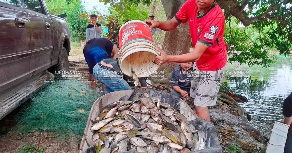 Mortandad de peces en laguna de Las Cañas