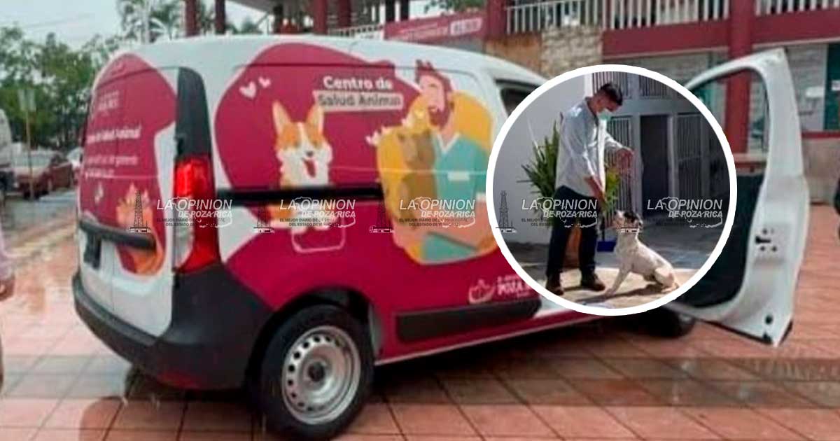 Registran en enero 15 casos de maltrato animal