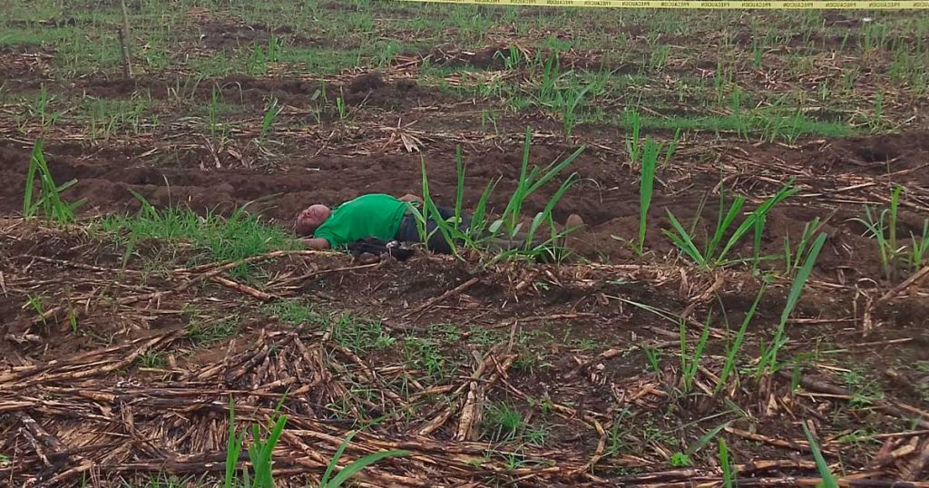 Identifican a sujeto asesinado con violencia en cañales