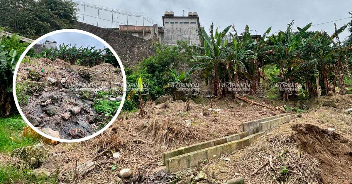 Viven entre suciedad en la Teodoro Cano García Viven entre suciedad en la Teodoro Cano García