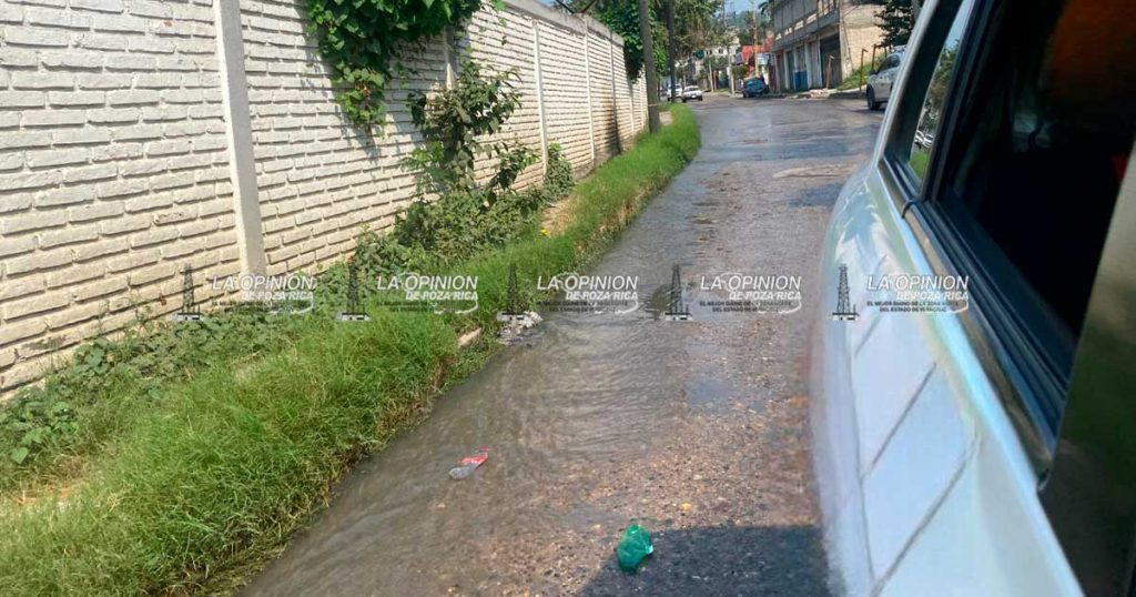 Pestilencia y contaminación afectan a la que "Vive Bella"