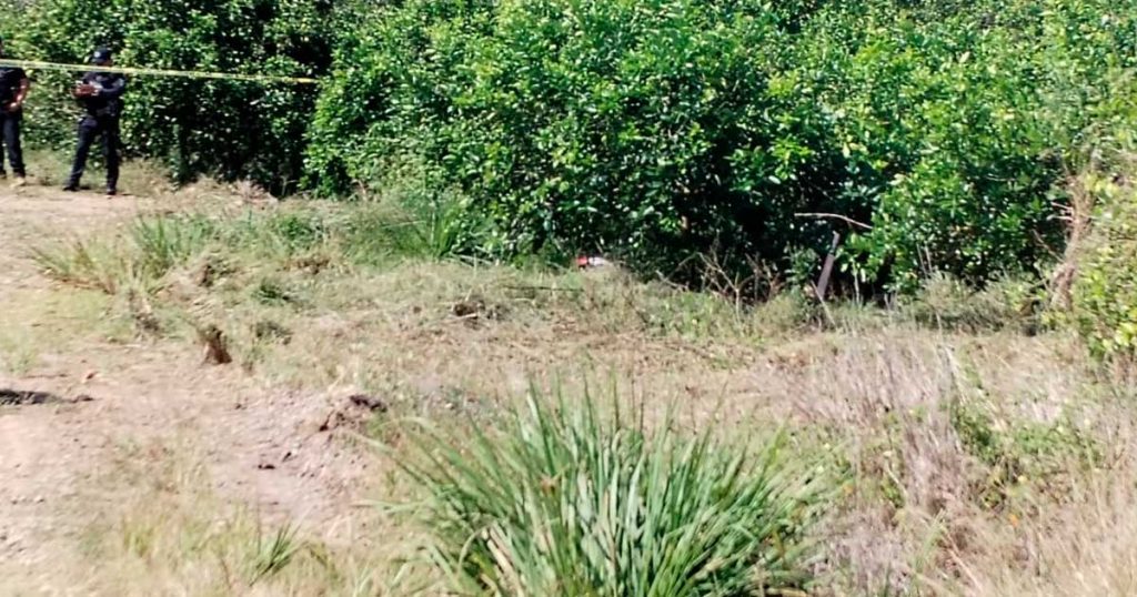 Lo asesinaron en un limonar