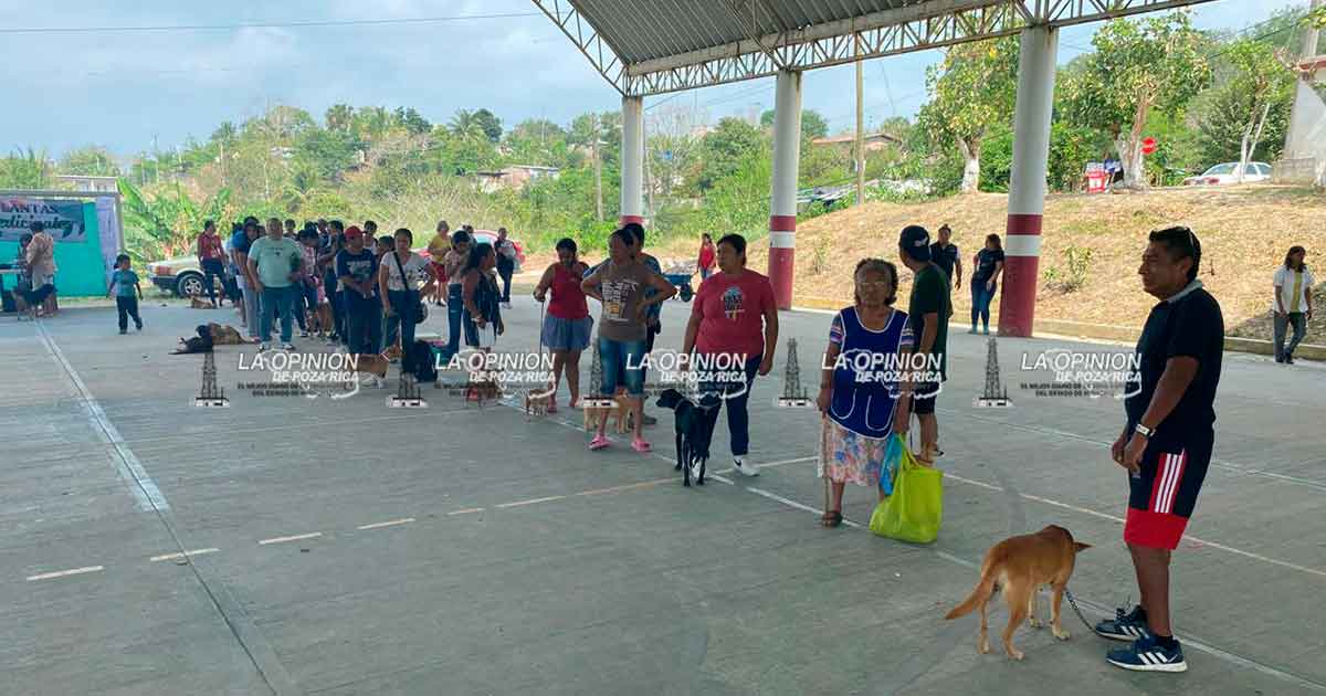 Decenas de mascotas esterilizadas en el domo de la Prensa Nacional.
