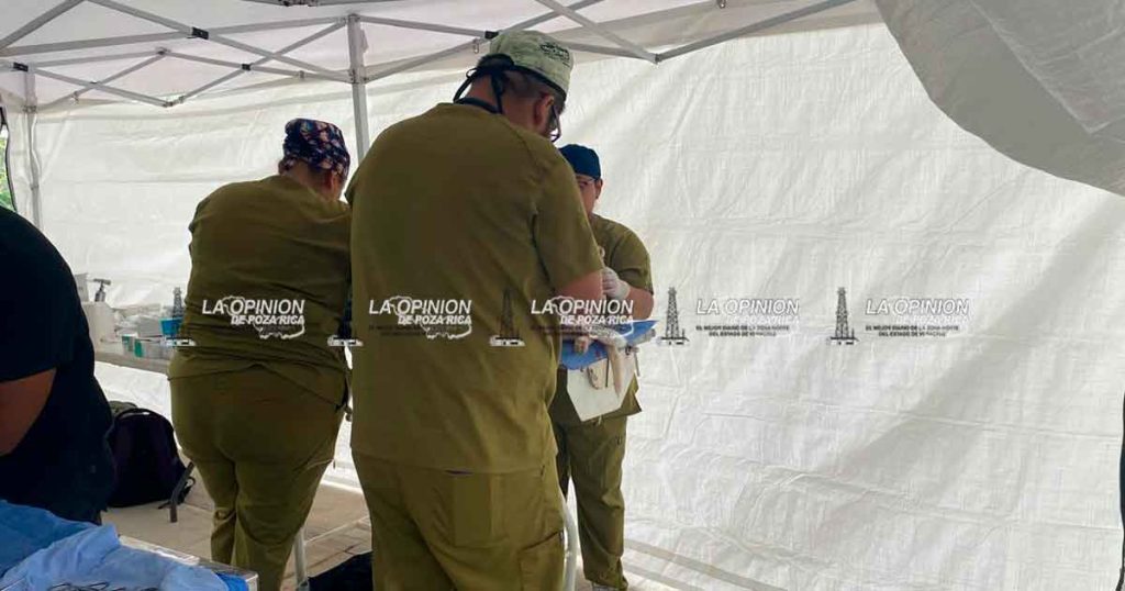 Decenas de mascotas esterilizadas en el domo de la Prensa Nacional. Decenas de mascotas esterilizadas en el domo de la Prensa Nacional.