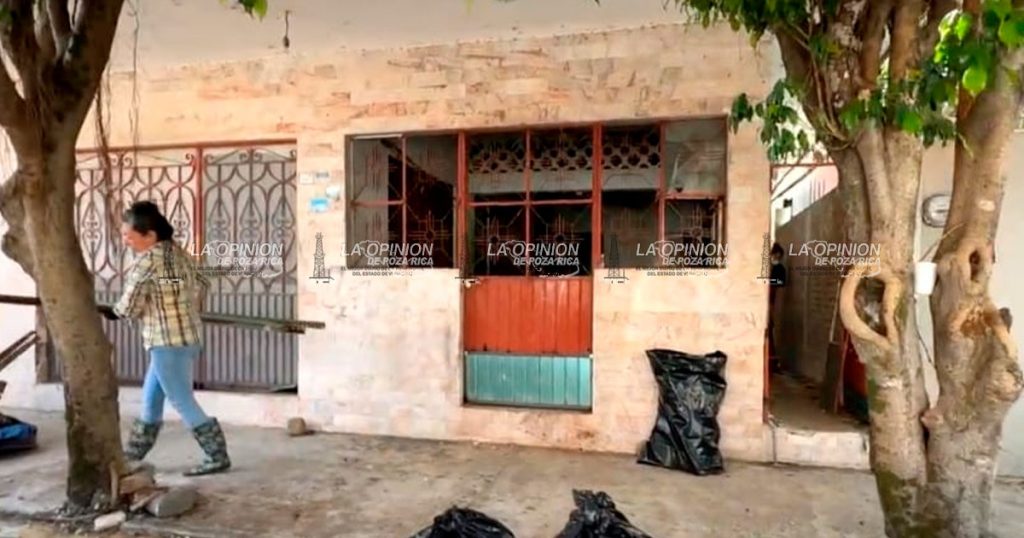 Los gatos rescatados serán esterilizados y dados en adopción; Lesli Ortiz