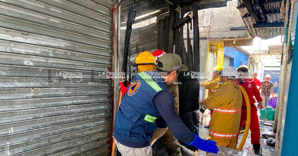 ¡Pánico en el Mercado! ¡Pánico en el Mercado!
