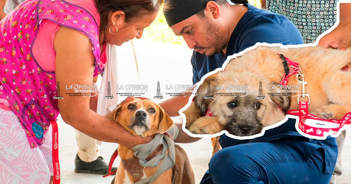 Previenen la rabia con jornada de vacunación en especies canina y felina