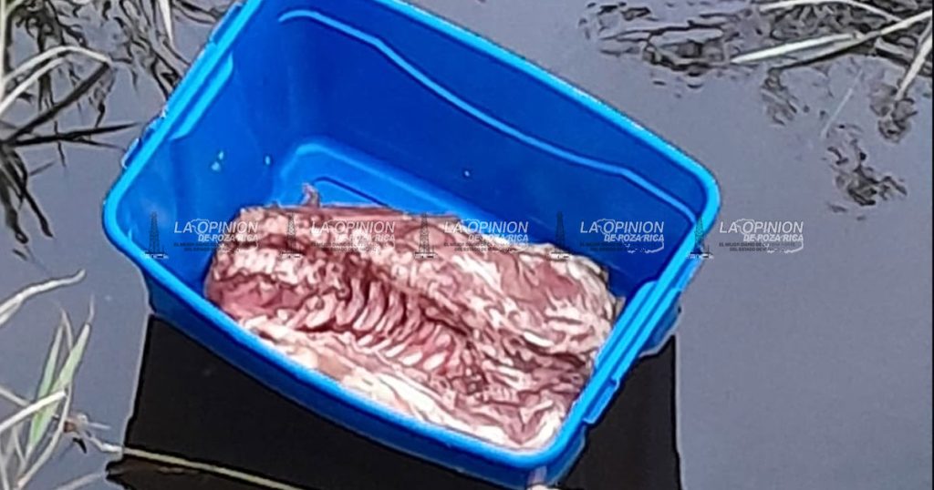Dejan caja con carne cruda en un estero de Tecolutla
