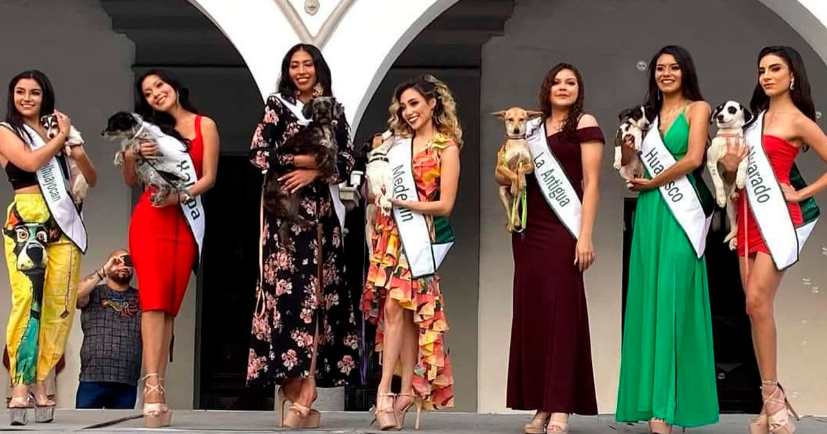 Las modelos de Miss Earth Veracruz realizarán pasarela de moda y promocionarán la adopción canina