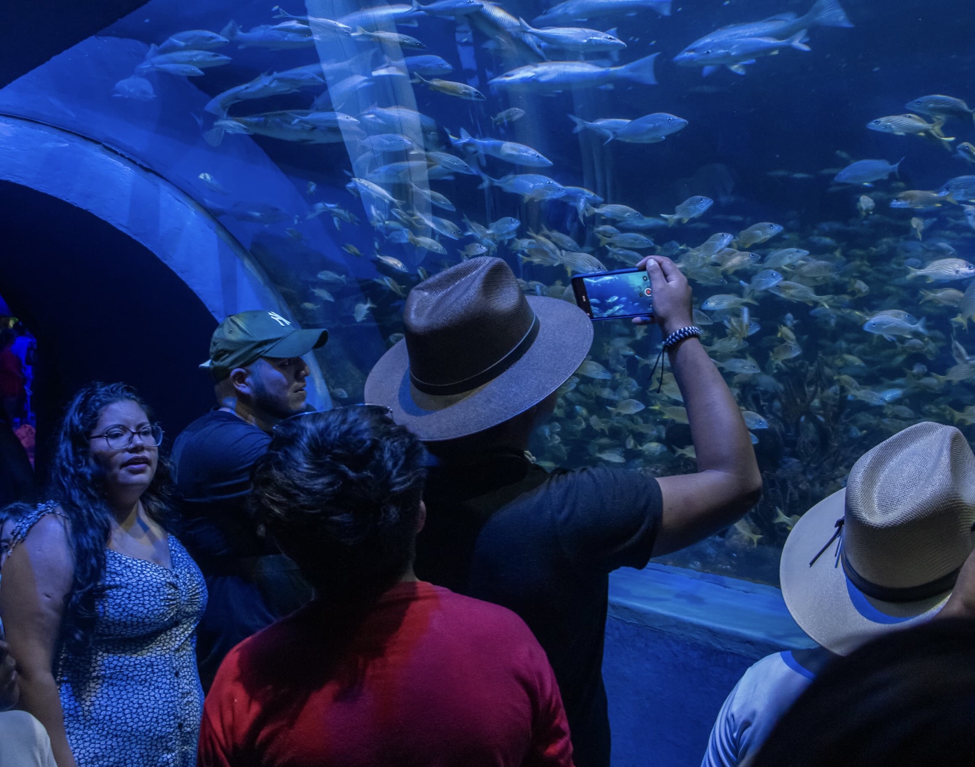 Acuario de Veracruz rompe récord de visitantes