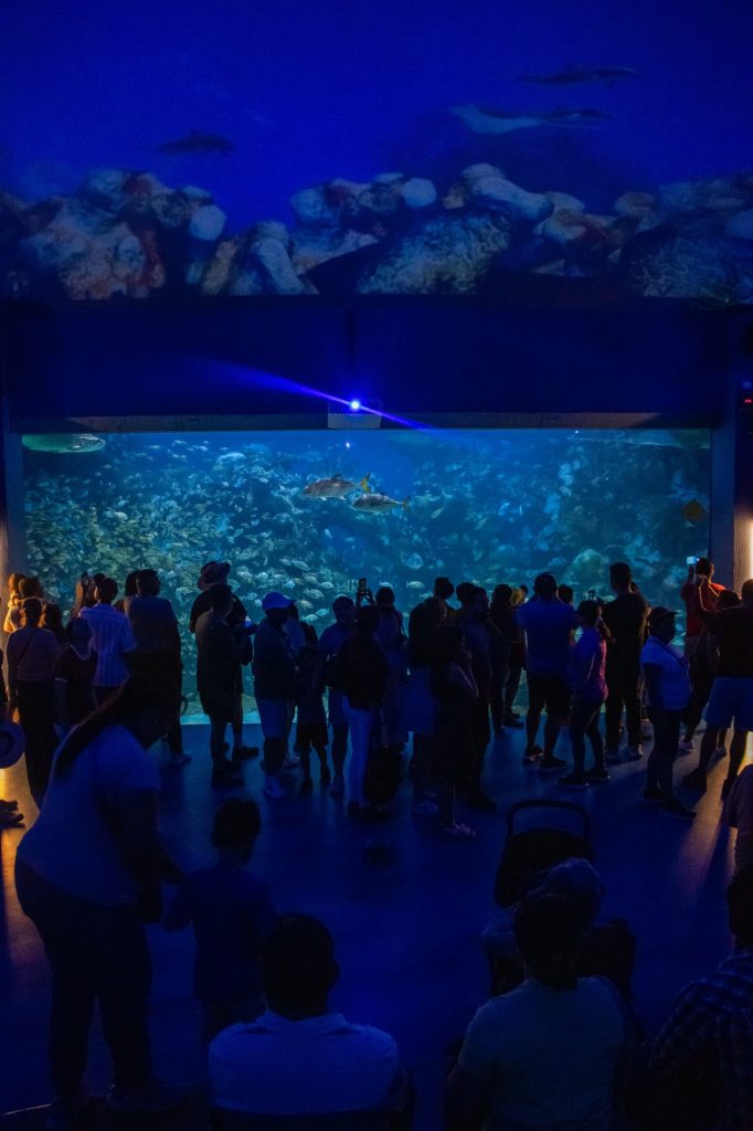 Acuario de Veracruz rompe récord de visitantes