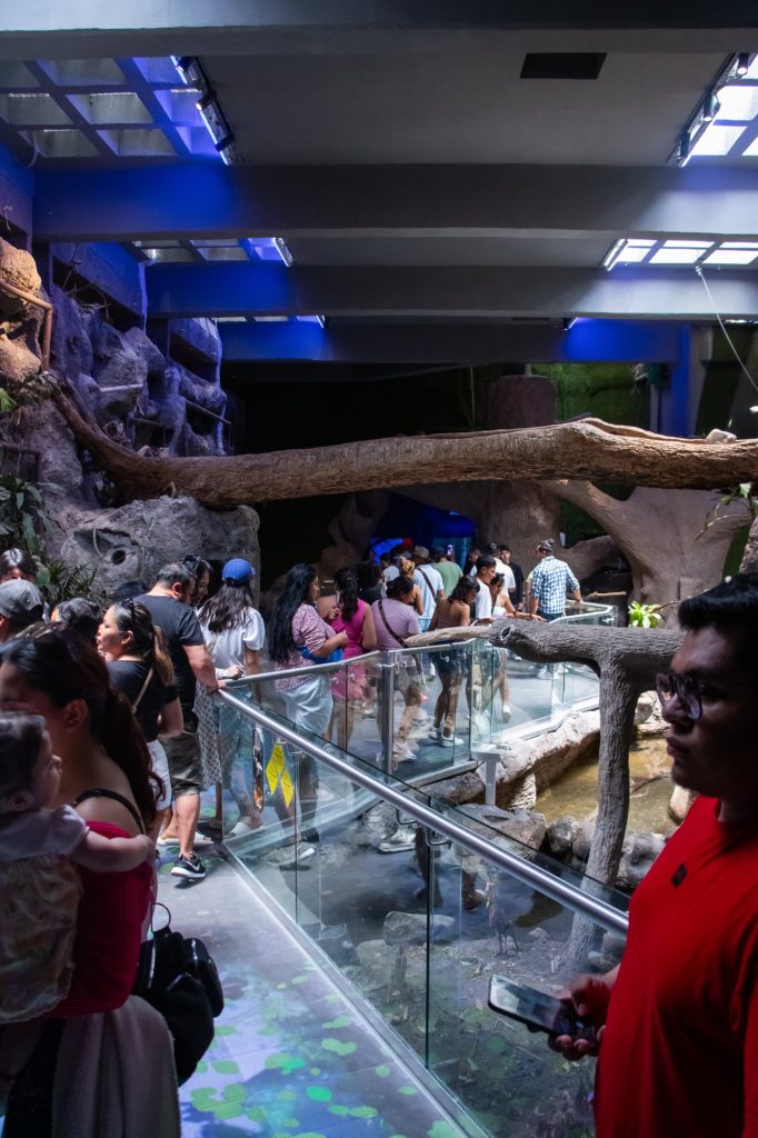 Acuario de Veracruz rompe récord de visitantes
