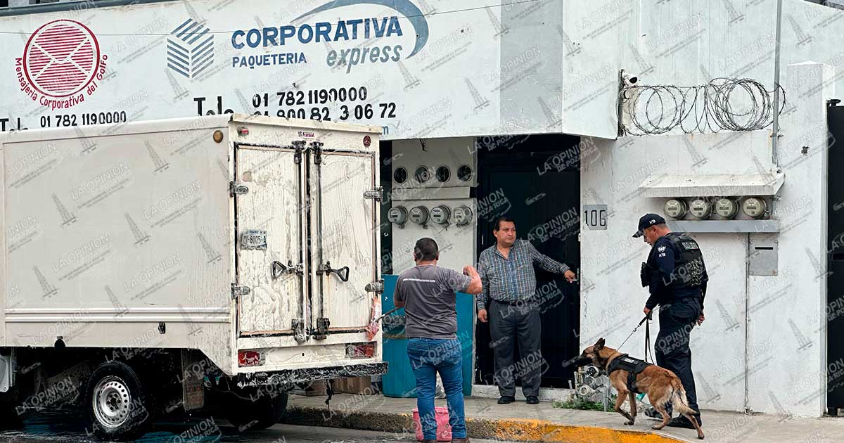Decomisan droga en paquetería Corporativa Express Decomisan droga en paquetería Corporativa Express