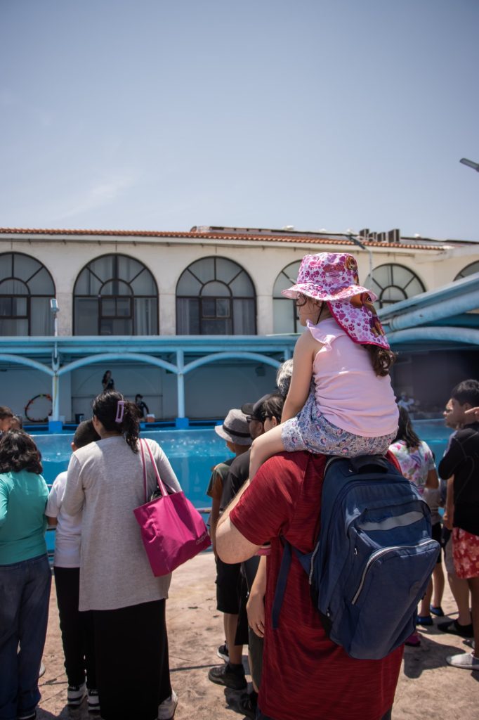 Acuario de Veracruz rompe récord de visitantes