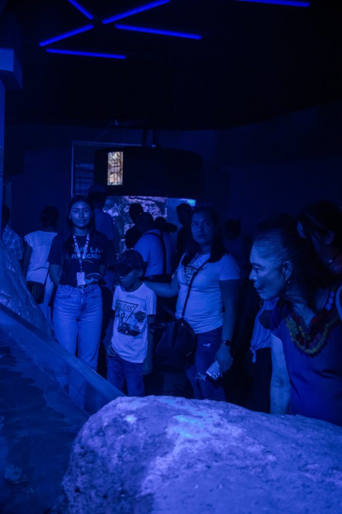 Acuario de Veracruz rompe récord de visitantes