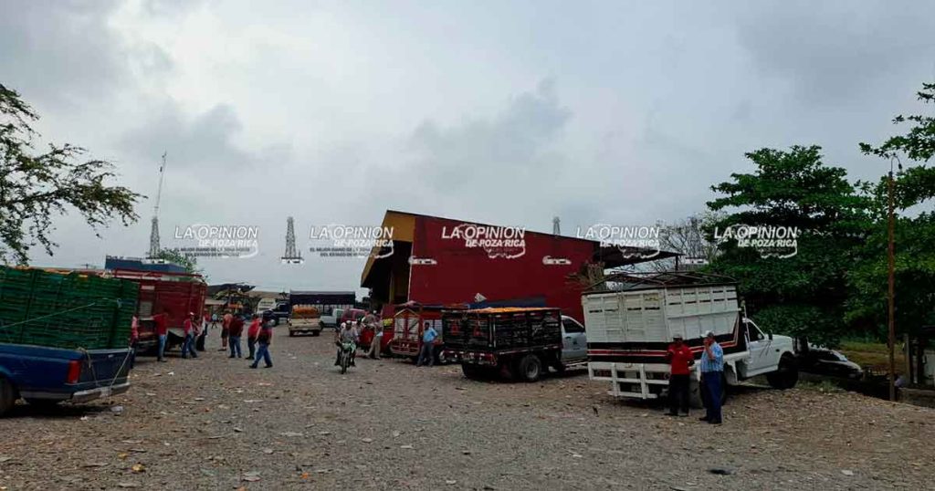 Se contrae la actividad en el centro de acopio Se contrae la actividad en el centro de acopio