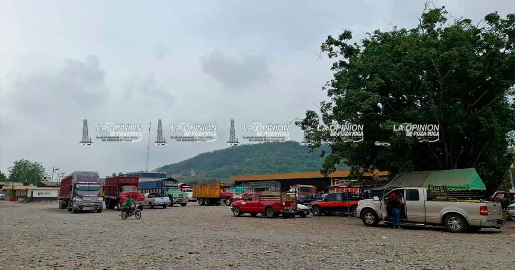 Se contrae la actividad en el centro de acopio Se contrae la actividad en el centro de acopio