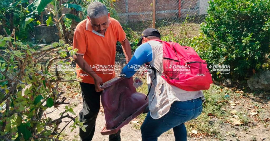 Destruyen criaderos de mosco transmisor del dengue en la Tepeyac