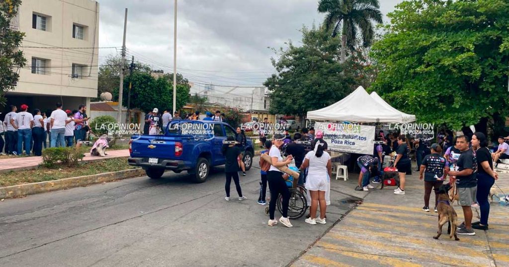 Rebasa expectativas: Primera Caminata con mi Mascota