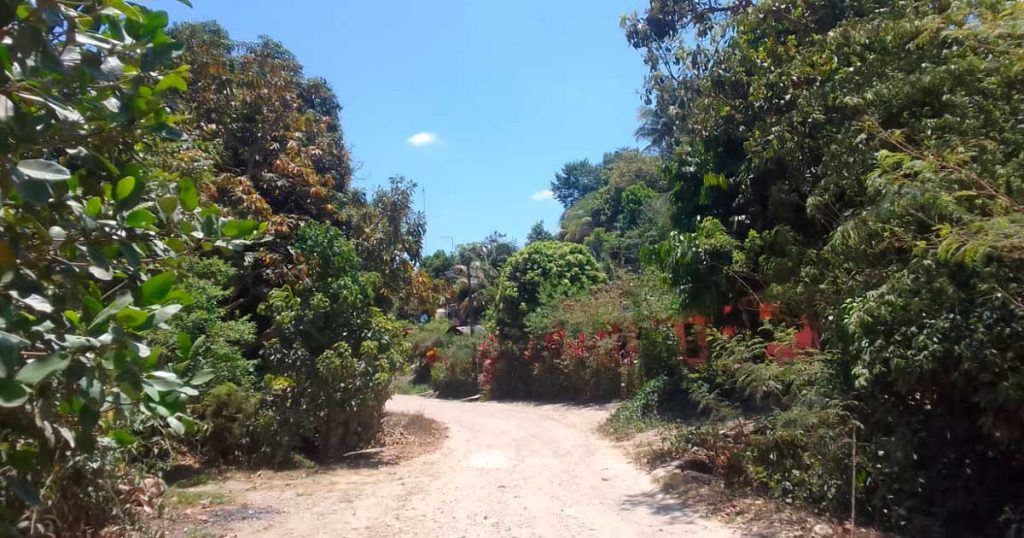 Pino Suárez, comunidad olvidada en los últimos tres años