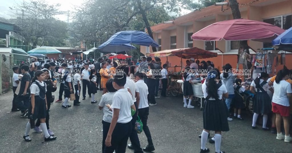 En Veracruz 1.3 millones de estudiantes de nivel básico regresarán a clases