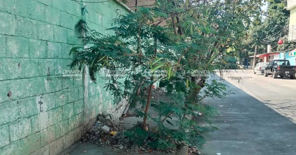 Un desastre la vialidad sobre la calle Pánuco de la colonia Palma Sola