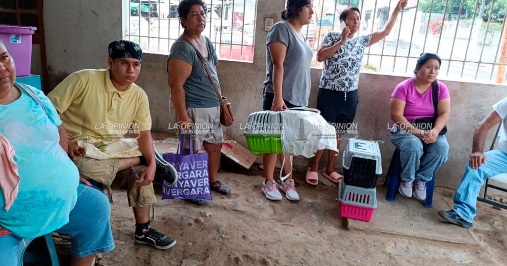 Va colectivo por 150 esterilizaciones gratuitas para mascotas